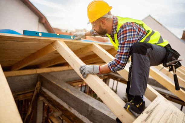 Best Roof Gutter Cleaning  in Lusk, WY
