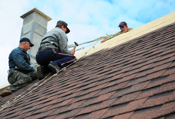 Best Roof Leak Repair  in Lusk, WY